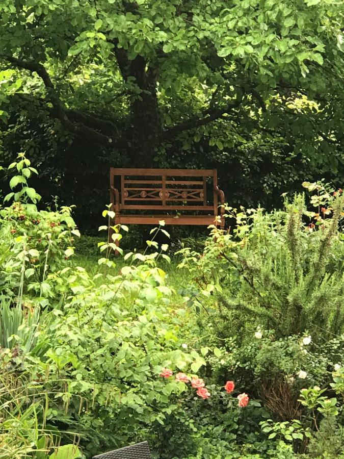 Gartenwohnung Gundelfingen  Luaran gambar