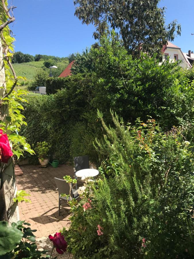 Gartenwohnung Gundelfingen  Luaran gambar