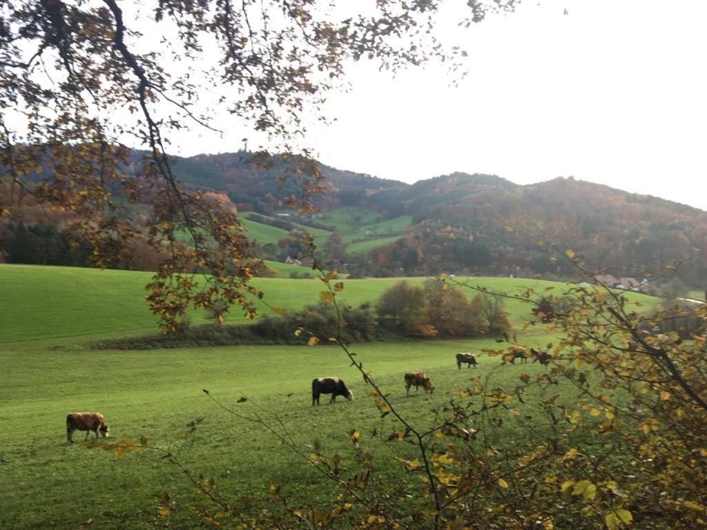 Gartenwohnung Gundelfingen  Luaran gambar
