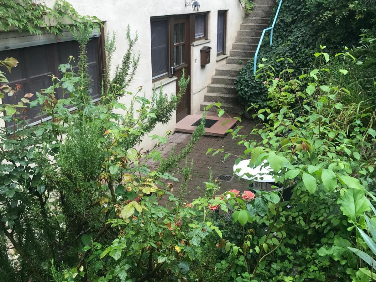 Gartenwohnung Gundelfingen  Luaran gambar